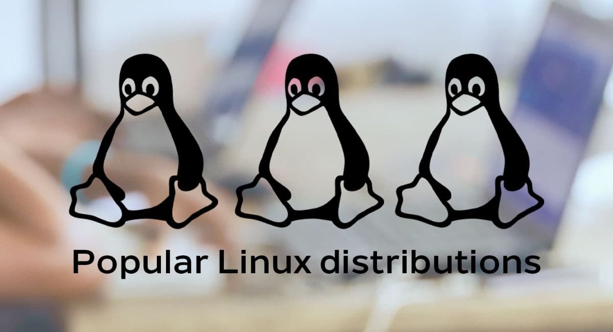 Linux Distributions That Are Designed For Gamers